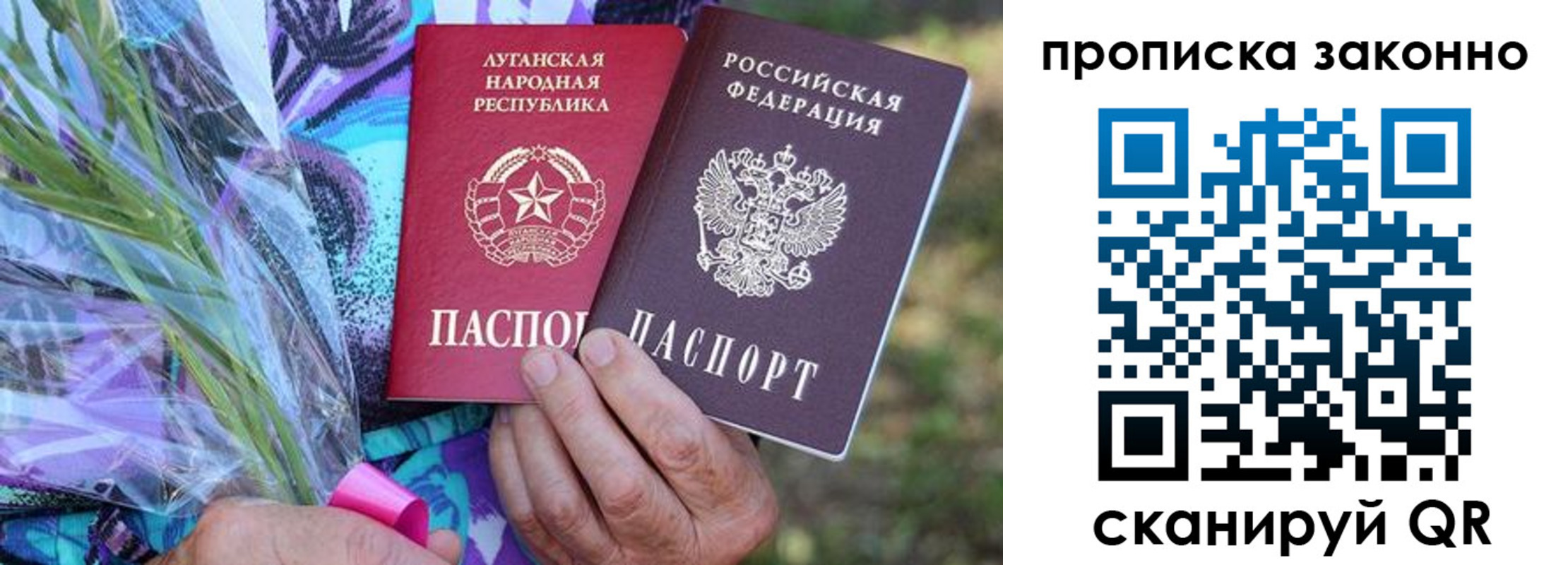 прописка для школы в Приозерске